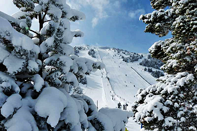 Alp, La Masella